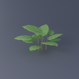 Leafy Plant 01