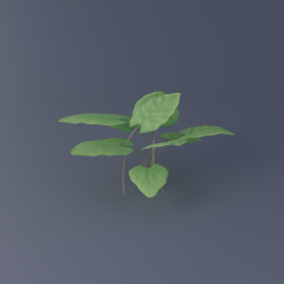 Leafy Plant 02