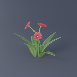 Red Flower 01