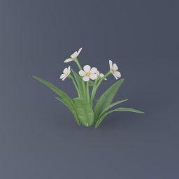 White Flower 02