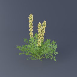 Yellow Flowers 01