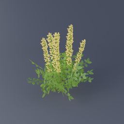 Yellow Flowers 02