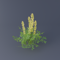 Yellow Flowers 03