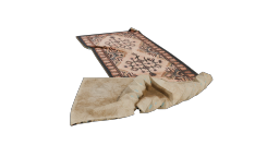 Fringed_Area_Rug