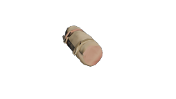 Rolled_Carpet