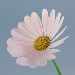 Flower Generator (daisy, chamomile)