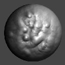 20DragRectASLabsFlesh
