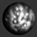 20PaintRectASLabsFlesh