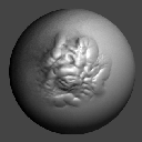 41DragDotASLabsFlesh