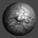 43DragRectASLabsFlesh