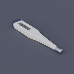 Thermometer