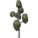 Tree_3