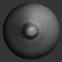 03VDM_NippleASBodyDetails