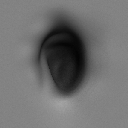 04VDM_NavelASBodyDetails