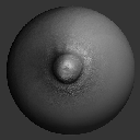 04VDM_NippleASBodyDetails