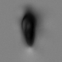 06VDM_NavelASBodyDetails