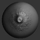 07VDM_NippleASBodyDetails