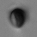08VDM_NavelASBodyDetails