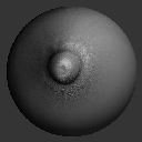 09VDM_NippleASBodyDetails