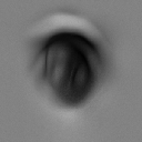 11VDM_NavelASBodyDetails