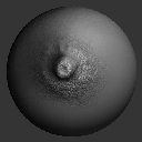 11VDM_NippleASBodyDetails