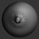 12VDM_NippleASBodyDetails