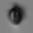 14VDM_NavelASBodyDetails