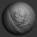 27VDMASWoundsAndScars