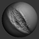 55VDMASWoundsAndScars