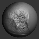 57VDMASWoundsAndScars