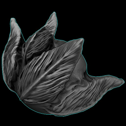 Feather_Leaf