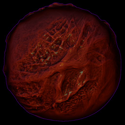Gore_Lite