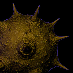 Needle_Spikes_Short