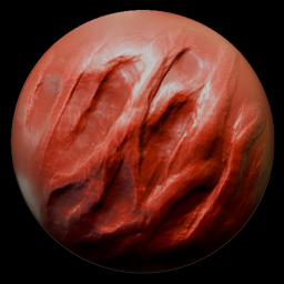 Veins