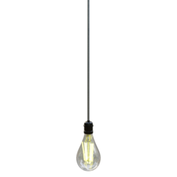 Bulb