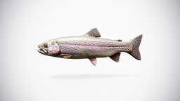 Rigged Game Ready Trout 3D Model