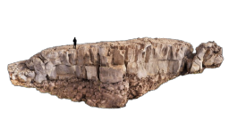 cliff_brown_09