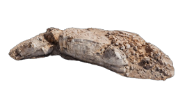cliff_brown_12