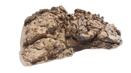 cliff_brown_16