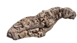 cliff_brown_17_a