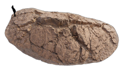cliff_brown_19