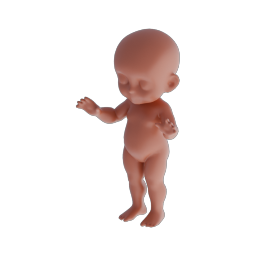 Child Base Mesh 06