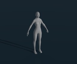 FemaleBodyBaseMesh1kAnimatedRigged