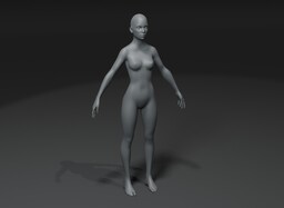 FemaleBodyBaseMesh10kAnimatedRigged