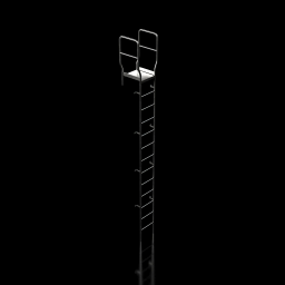 Alpha_Rooftop_Ladder_D