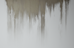 D_Dirt_Leak_04