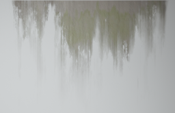 D_Dirt_Leak_06