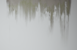 D_Dirt_Leak_07