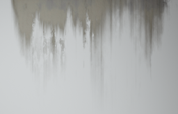 D_Dirt_Leak_09