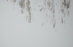 D_Dirt_Streaks_01